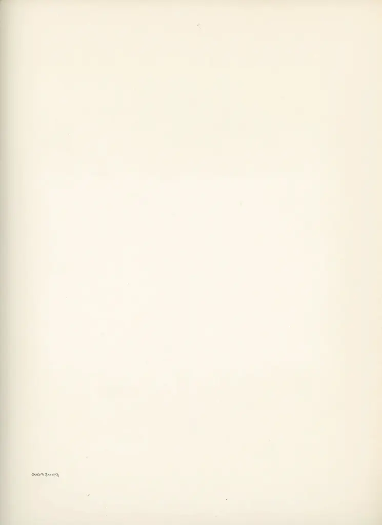 Anonimo , Disegno di Mehmet Siyah Kalem detto Penna Nera nell'Album del Conquistatore, Istambul, Biblioteca del Palazzo di Topkapi. , retro