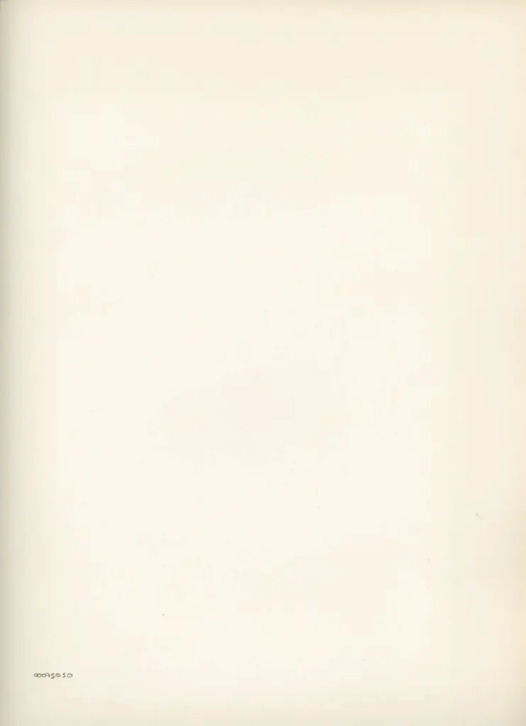 Anonimo , Disegno di Mehmet Siyah Kalem detto Penna Nera nell'Album del Conquistatore, Istambul, Biblioteca del Palazzo di Topkapi. , retro