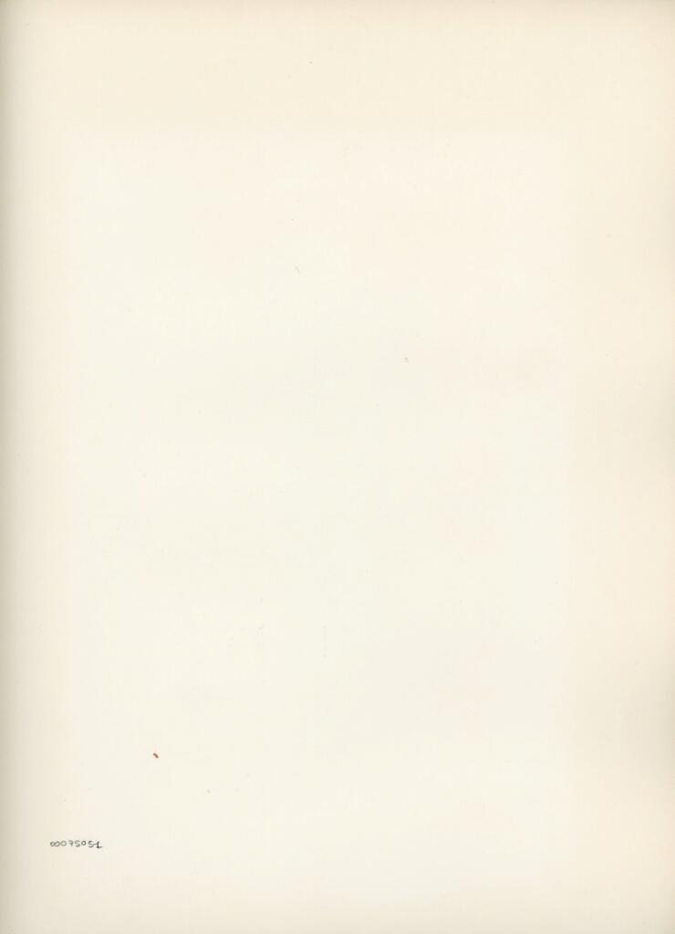 Anonimo , Disegno di Mehmet Siyah Kalem detto Penna Nera nell'Album del Conquistatore, Istambul, Biblioteca del Palazzo di Topkapi. , retro