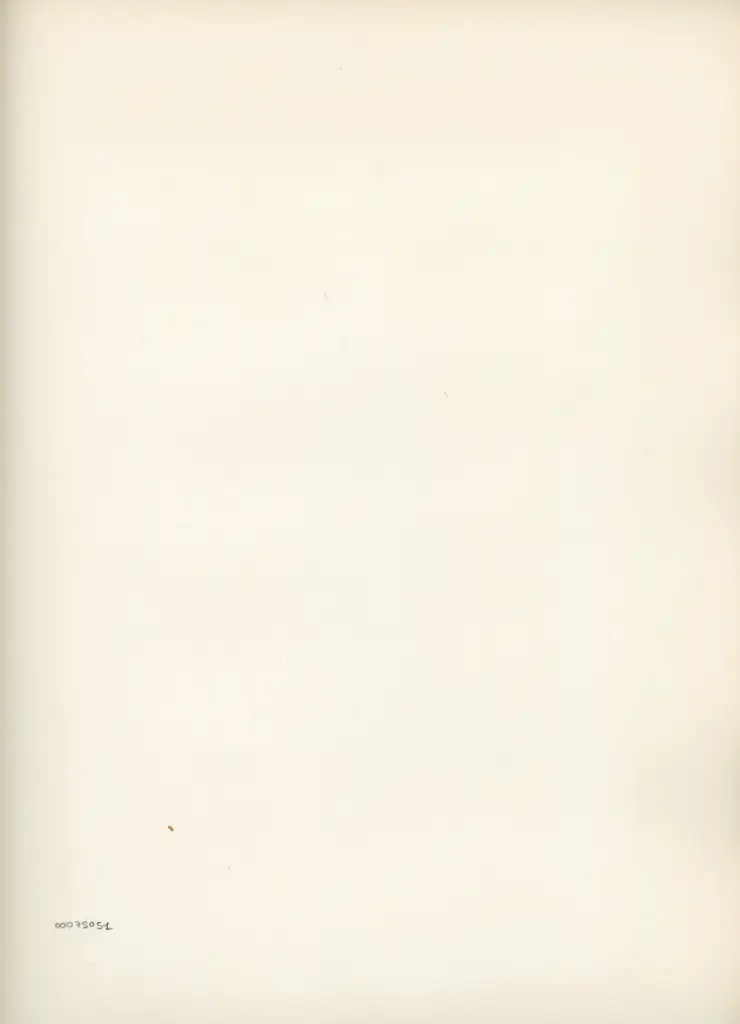 Anonimo , Disegno di Mehmet Siyah Kalem detto Penna Nera nell'Album del Conquistatore, Istambul, Biblioteca del Palazzo di Topkapi. , retro