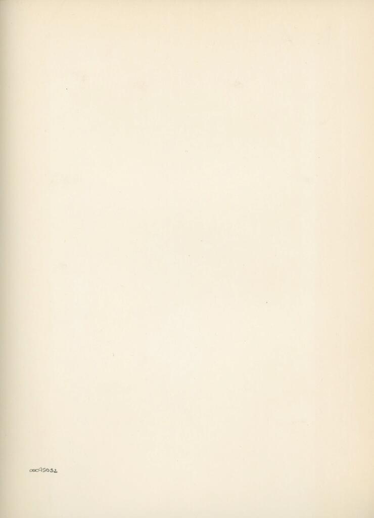 Anonimo , Disegno di Mehmet Siyah Kalem detto Penna Nera nell'Album del Conquistatore, Istambul, Biblioteca del Palazzo di Topkapi. , retro