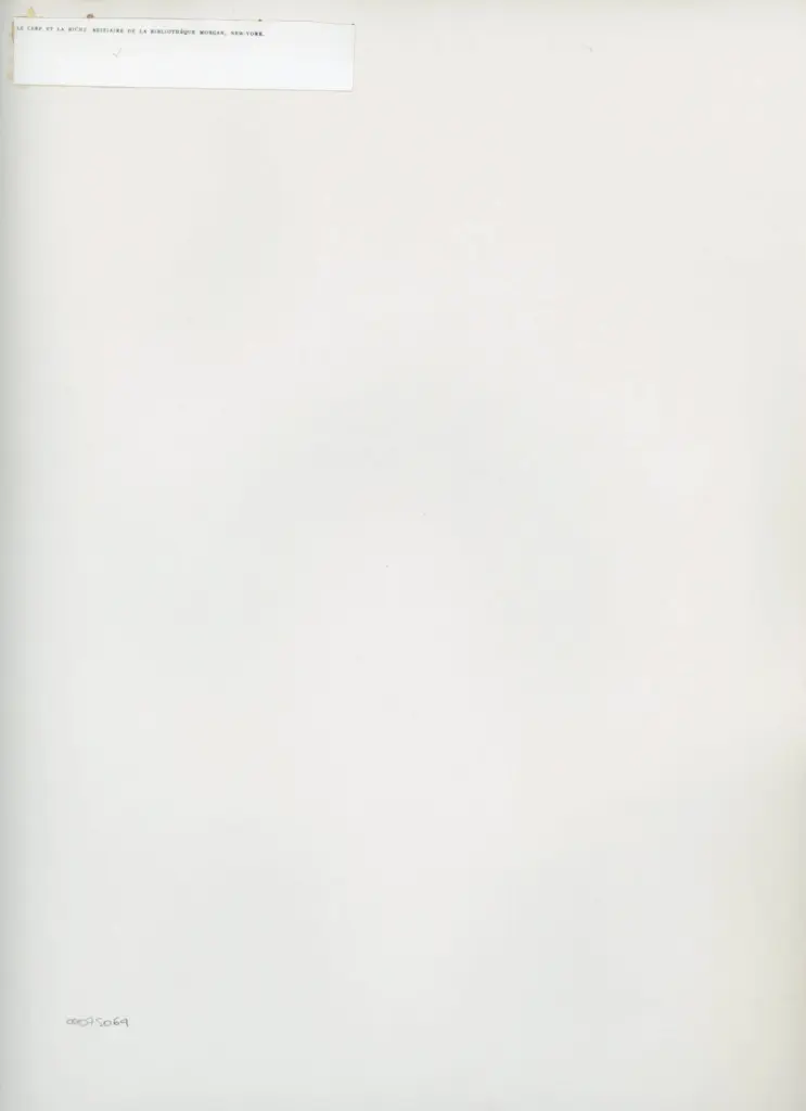 Anonimo , Le cerf et la biche, bestiaire de la Biblioth&egrave;que Morgan, New-York. , retro