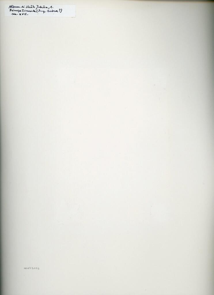 Anonimo , Album di Shah Jahan, 1. - Principe Timuride (Imp. Babur?) - sec. XVII. , retro