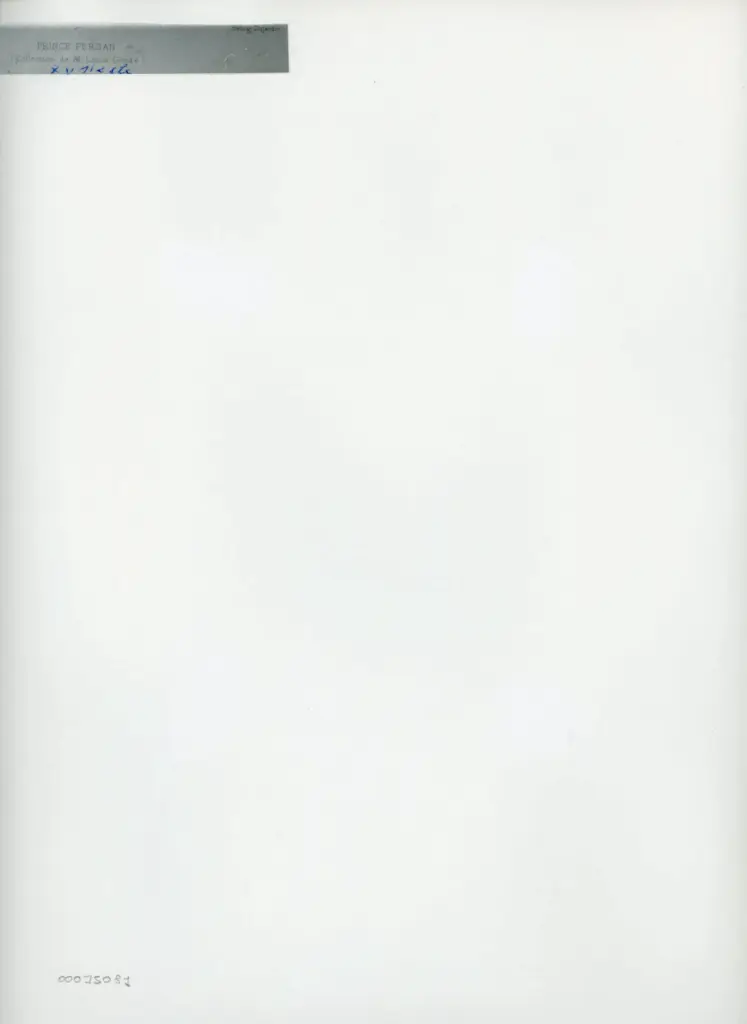 Anonimo , Prince persan - (Collection de M. Luois Gonse) , retro