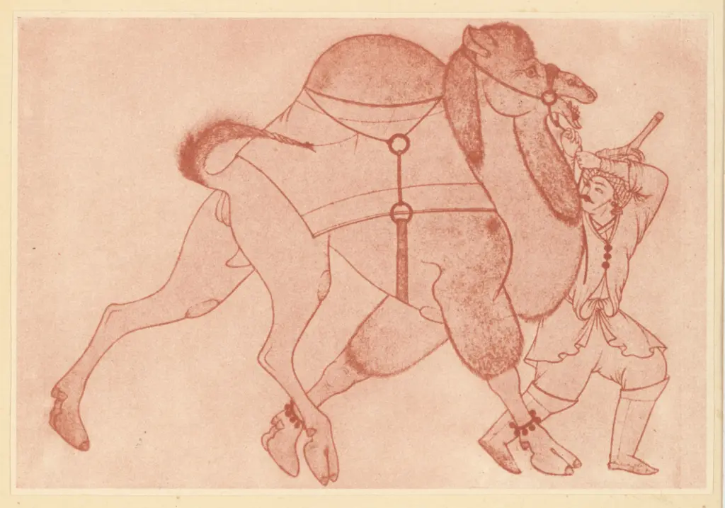 Anonimo , Anonimo - sec. XVI - Disegno, Figura maschile con dromedario , fronte