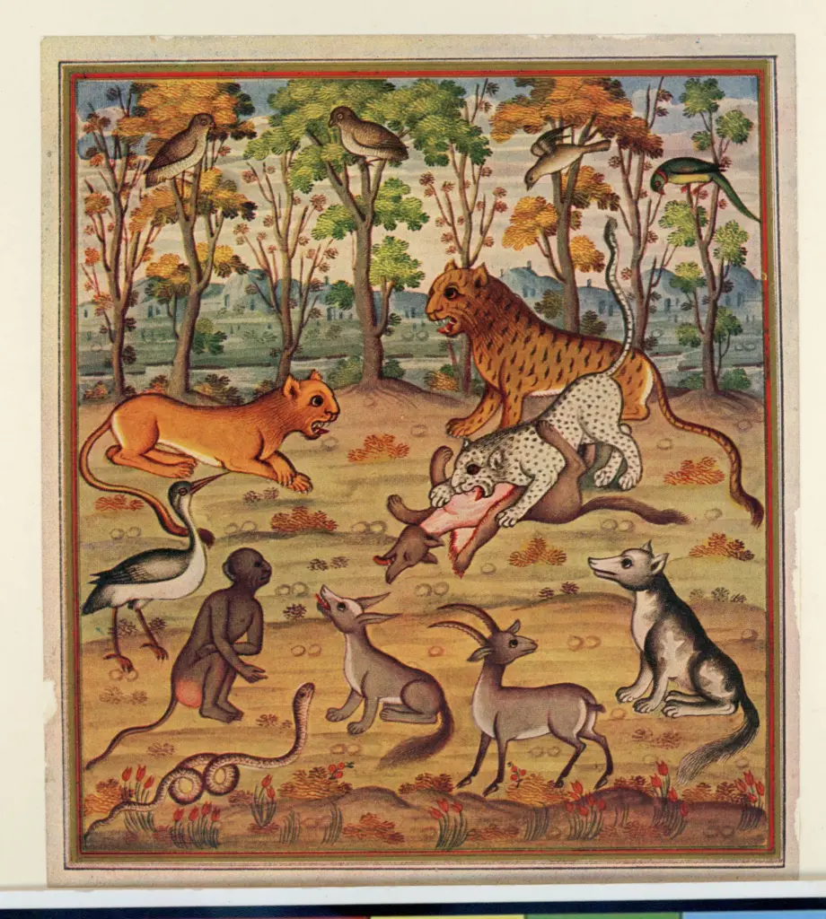 Anonimo , Il leone, il lupo e la volpe (La Fontaine) - Persia sec. XIX - Paris, coll. Feuillet de Conches , fronte