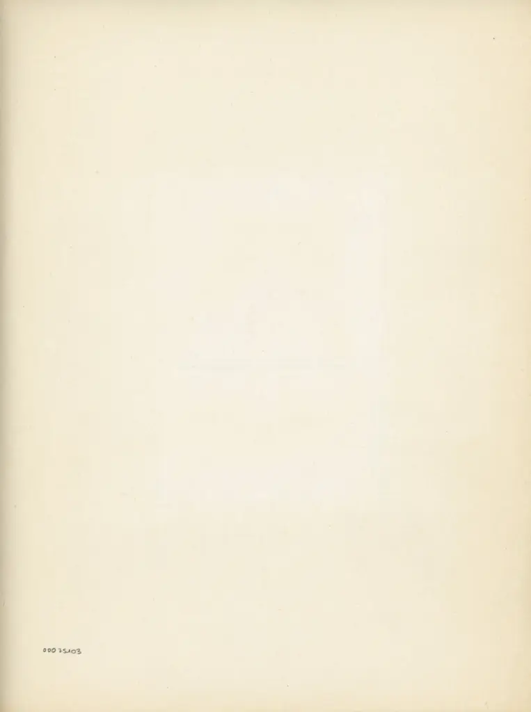 Anonimo , Anonimo - Miniatura persiana , retro