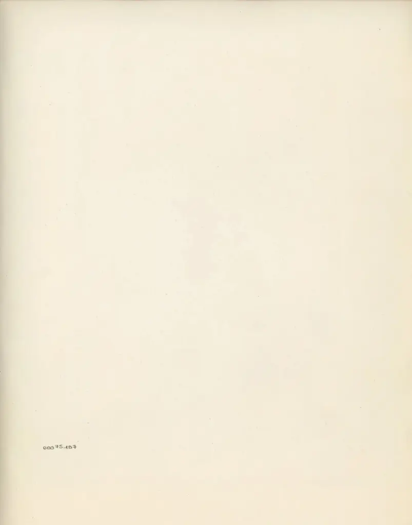 Anonimo , Museo di Topkapi Saray - sec. XVI - Nigari: Solimano il Magnifico , retro