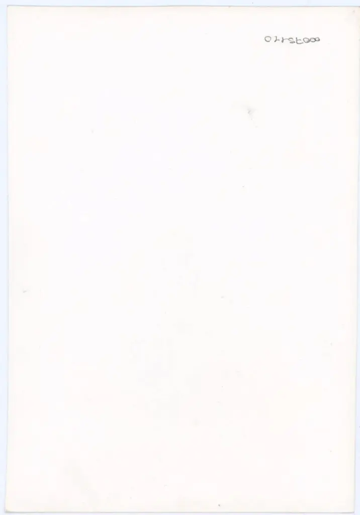 Anonimo - sec. XV, seconda met&agrave; - Lucca, Biblioteca Statale, ms. 1468 (L.180), f. 19r, intero , retro