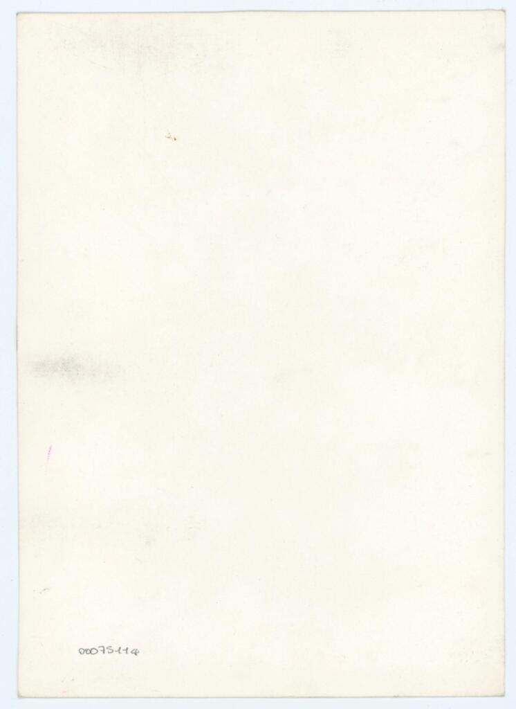Anonimo - sec. XV, terzo quarto - Lucca, Biblioteca Statale, ms. 1482 (L.194), f. 108v, particolare , retro