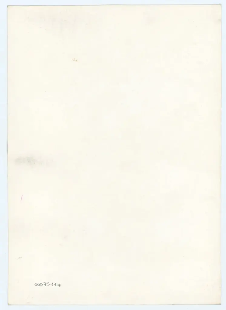 Anonimo - sec. XV, terzo quarto - Lucca, Biblioteca Statale, ms. 1482 (L.194), f. 108v, particolare , retro