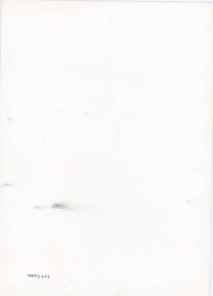 Anonimo - sec. XV, terzo quarto - Lucca, Biblioteca Statale, ms. 1482 (L.194), f. 134v, particolare , retro