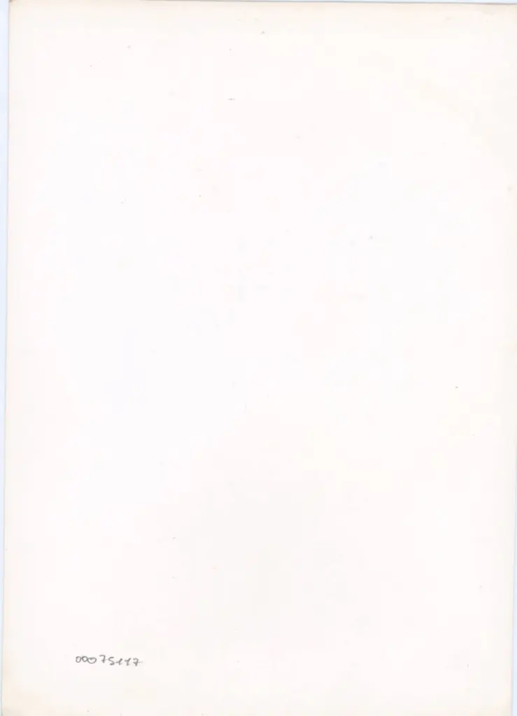 Anonimo - sec. XV, terzo quarto - Lucca, Biblioteca Statale, ms. 1482 (L.194), f. 142v, particolare , retro