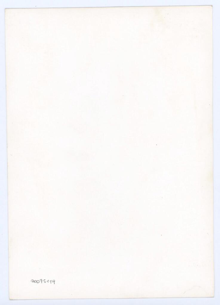 Anonimo - sec. XV, terzo quarto - Lucca, Biblioteca Statale, ms. 1482 (L.194), f. 78v, particolare , retro