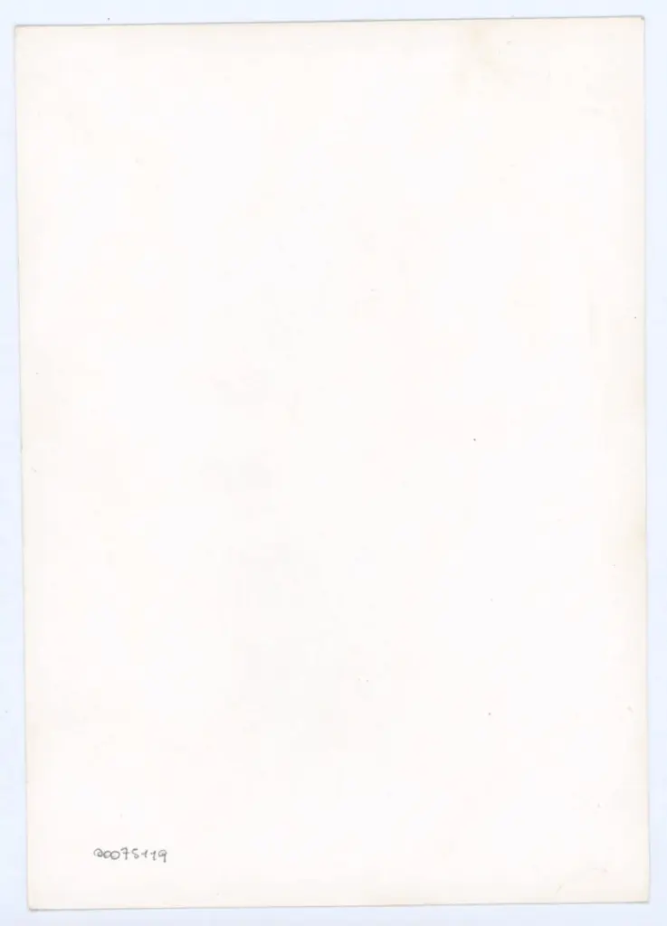 Anonimo - sec. XV, terzo quarto - Lucca, Biblioteca Statale, ms. 1482 (L.194), f. 78v, particolare , retro