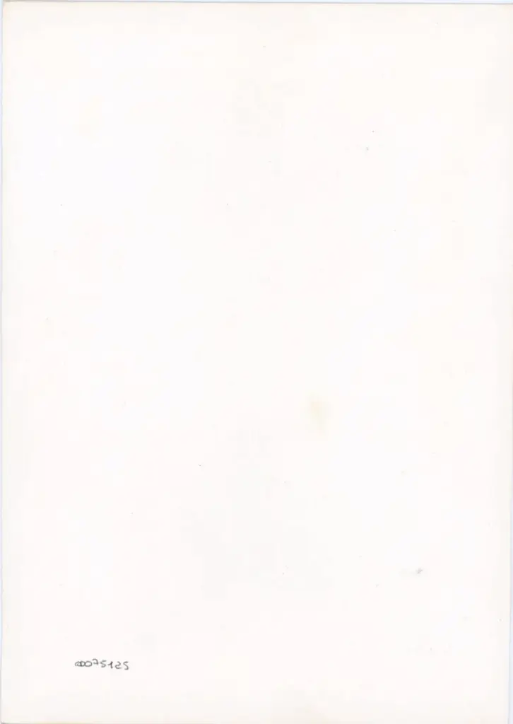 Anonimo - sec. XV, terzo quarto - Lucca, Biblioteca Statale, ms. 1482 (L.194), f. 57v, particolare , retro