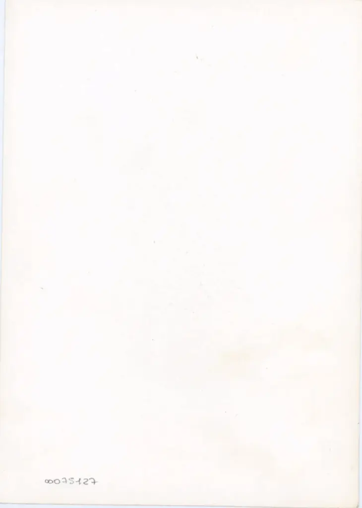 Anonimo - sec. XV, seconda metà - Lucca, Biblioteca Statale, ms. 1468 (L.180), f. 65r, particolare , retro