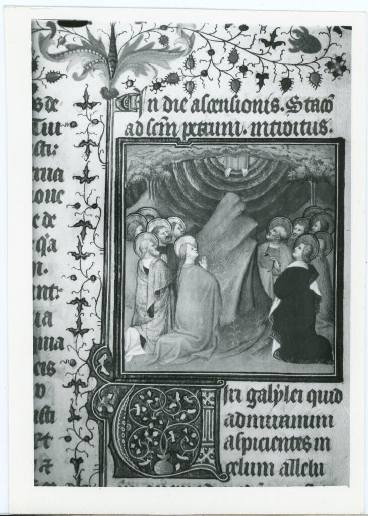 &nbsp; , Maestro delle Ore del maresciallo Boucicaut, attr. - sec. XV, primo quarto - Lucca, Biblioteca Statale, ms. 3122, f. 173v, particolare
