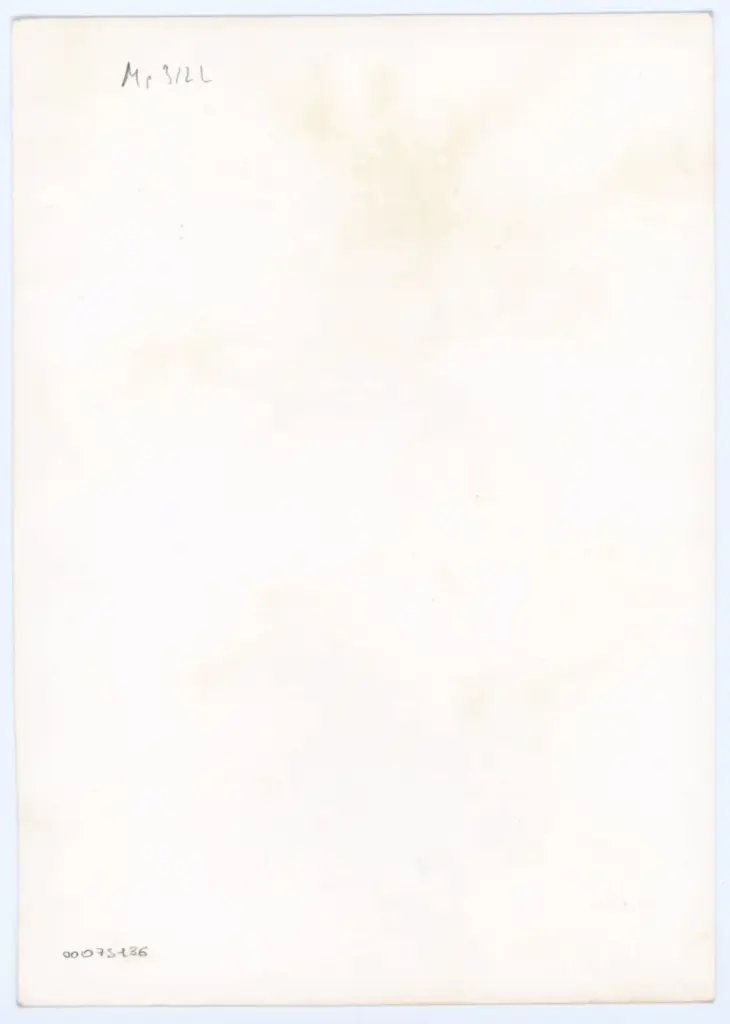 Maestro delle Ore del maresciallo Boucicaut, attr. - sec. XV, primo quarto - Lucca, Biblioteca Statale, ms. 3122, f. 246v, particolare , retro