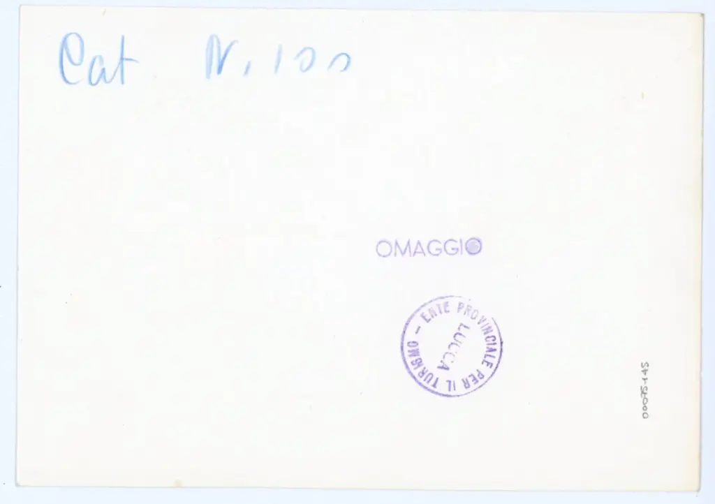 Ente Provinciale per il Turismo - Lucca , Ente Provinciale per il Turismo - Lucca, Maestro delle Ore del maresciallo Boucicaut, attr. - sec. XV, primo quarto - Lucca, Biblioteca Statale, ms. 3122, f. 151r, particolare , retro