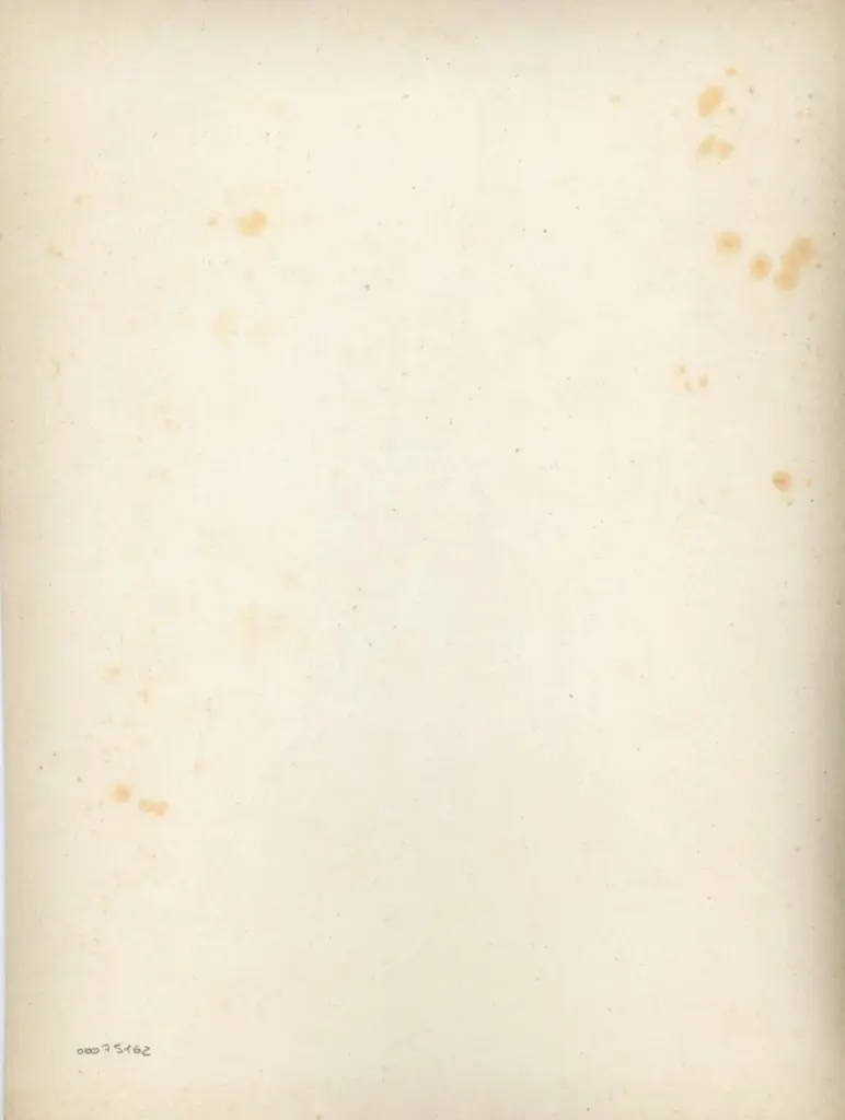 Anonimo , Pagina miniata di un corale , retro