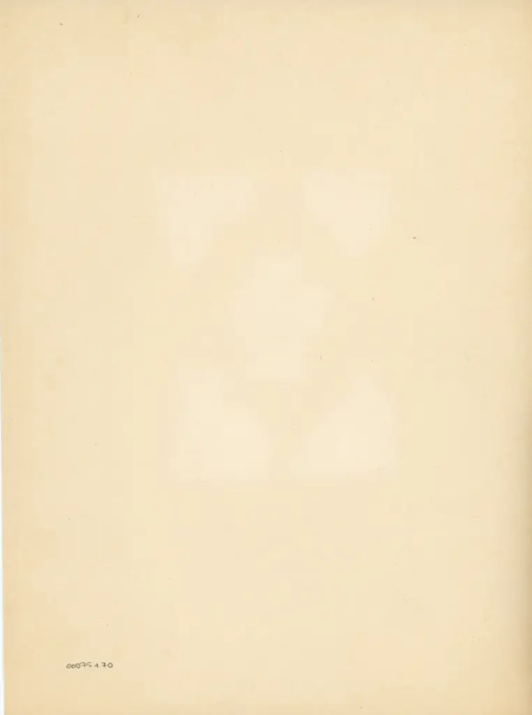 Anonimo , Cristoforo Cortese - sec. XV - manoscritto, una pagina miniata , retro