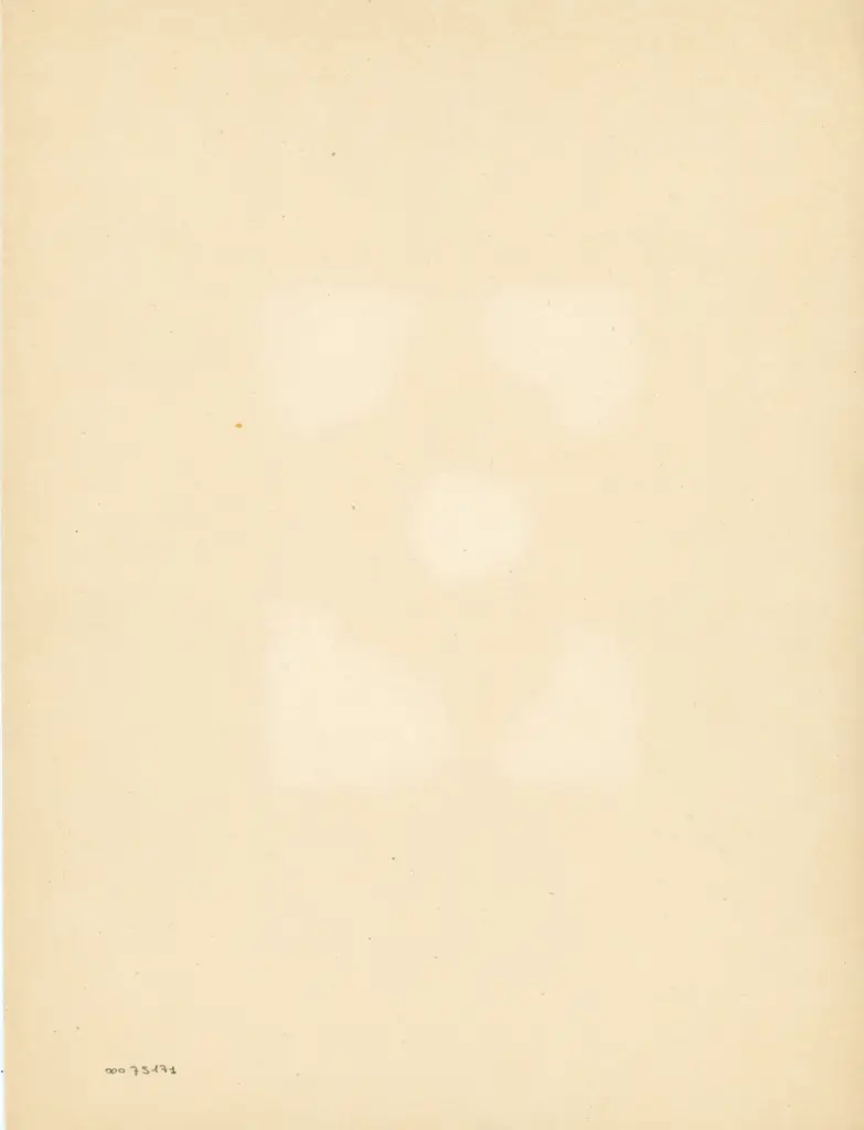 Anonimo , Iniziale R ritagliata , retro