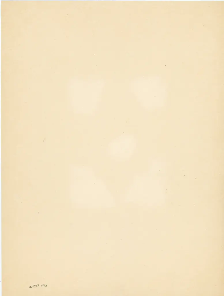 Anonimo , Anonimo sec. XV - sec. XV - Crocifissione di Cristo con i dolenti; Angeli e santi , retro