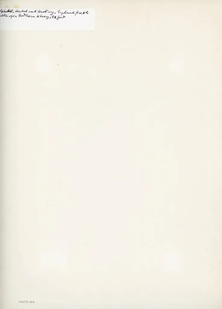 Anonimo , Alphabet, Herbal and Bestiary, England fine XV , retro