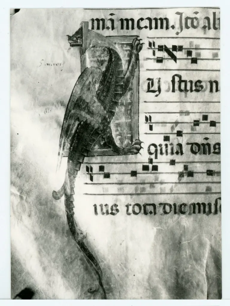 Gabinetto Fotografico della Soprintendenza Speciale per il Patrimonio Storico, Artistico ed Etnoantropologico e per il Polo Museale della città di Firenze , Bartolomeo di Fruosino - 1435 - Prato, Archivio Storico Diocesano, Archivio del Capitolo della Cattedrale, ms. 6 (già C), particolare di un foglio , fronte