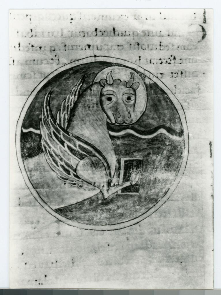 Gabinetto Fotografico della Soprintendenza Speciale per il Patrimonio Storico, Artistico ed Etnoantropologico e per il Polo Museale della città di Firenze , Anonimo - sec. XII, secondo quarto - Prato, Biblioteca Roncioniana, ms. Q.VIII.2 (2), particolare di un foglio , fronte