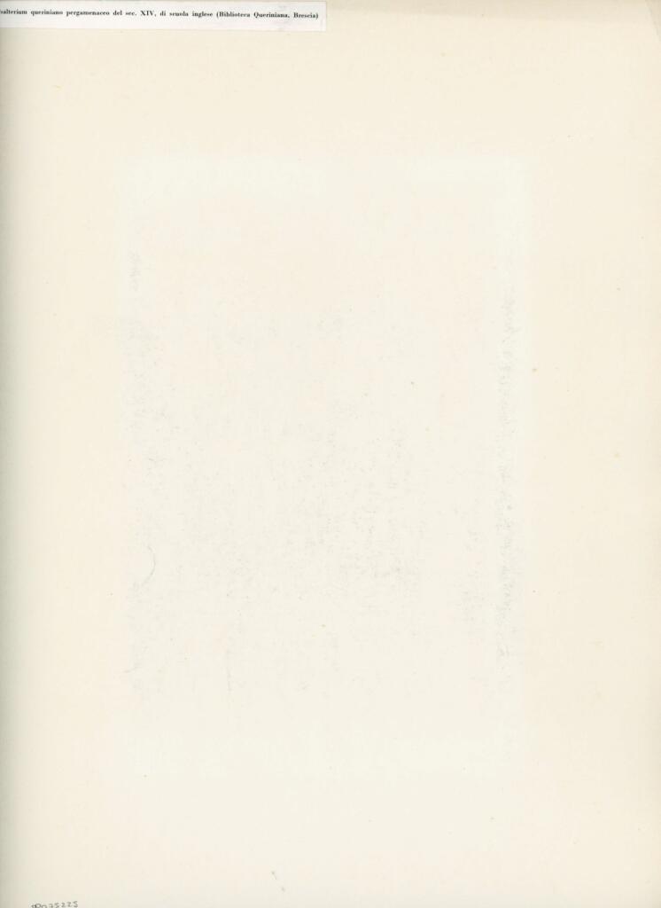Anonimo , Psalterium queriniano pergamenaceo del sec. XIV, di scuola inglese (Biblioteca Queriniana, Brescia) , retro