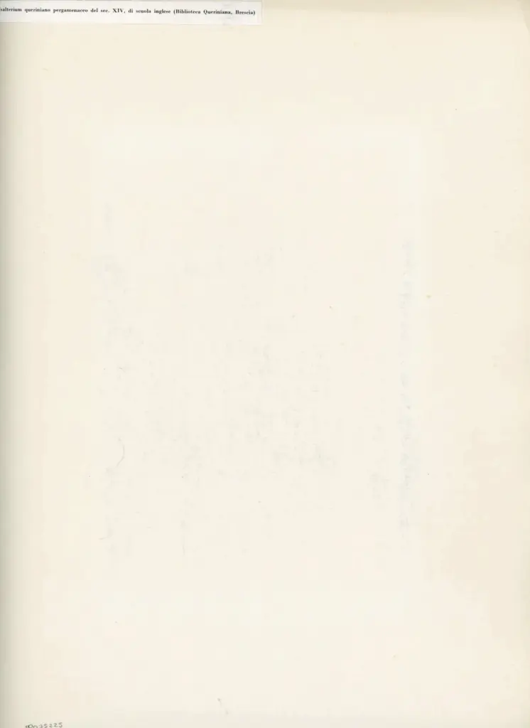 Anonimo , Psalterium queriniano pergamenaceo del sec. XIV, di scuola inglese (Biblioteca Queriniana, Brescia) , retro