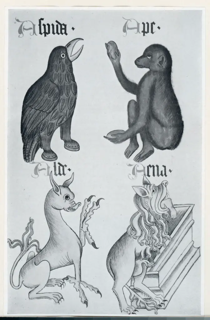 Anonimo , The Helmingham Herbal and Bestiary, manuscript on vellum, England, last quarter of the fifteenth century , fronte