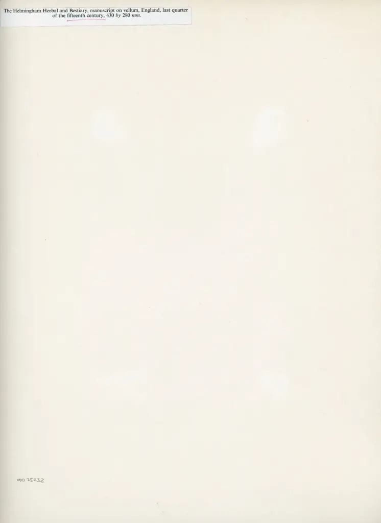 Anonimo , The Helmingham Herbal and Bestiary, manuscript on vellum, England, last quarter of the fifteenth century , retro