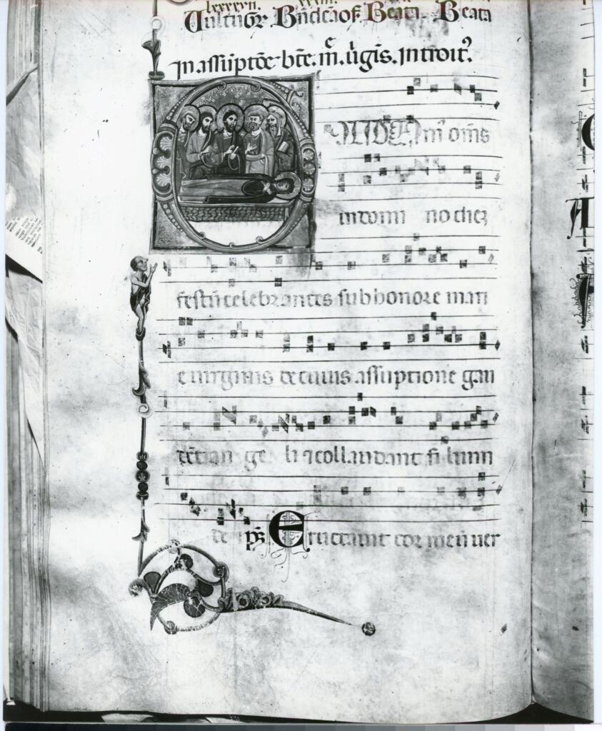 Gabinetto Fotografico della Soprintendenza Speciale per il Patrimonio Storico, Artistico ed Etnoantropologico e per il Polo Museale della città di Firenze , Arezzo Chiesa S. Maria della Pieve - sec. XIV - Antifonario D pag. 54v. , fronte