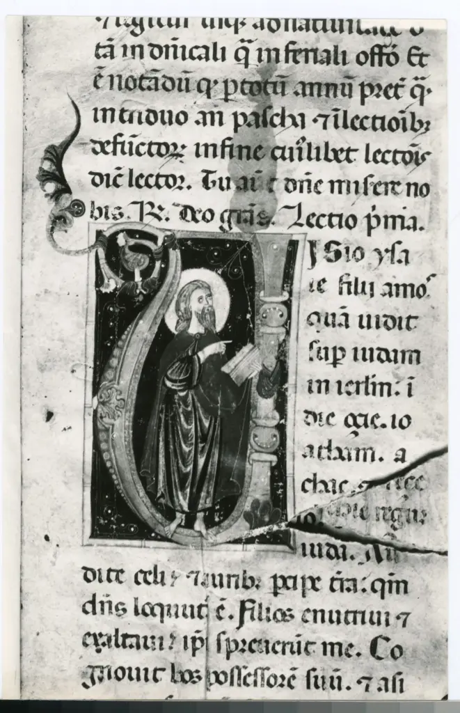 Anonimo sec. XIII , Iniziale V, Iniziale abitata, Profeta Isaia, Motivi decorativi fitomorfi