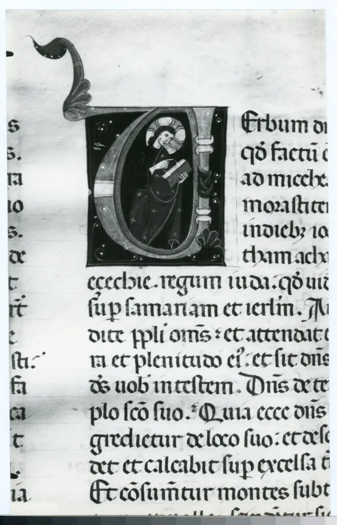 Anonimo sec. XIII , Iniziale V, Iniziale abitata, Cristo, Motivi decorativi fitomorfi