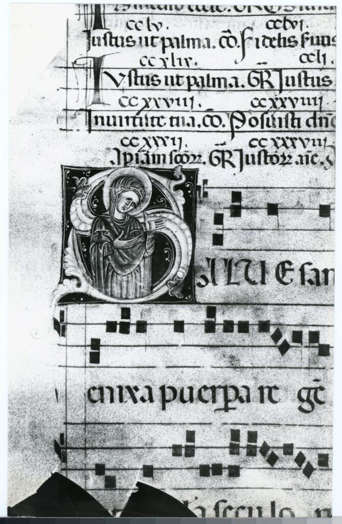 Gabinetto Fotografico della Soprintendenza Speciale per il Patrimonio Storico, Artistico ed Etnoantropologico e per il Polo Museale della città di Firenze , Arezzo. Duomo - sec. XIII - Messale E pag. 65v. , fronte
