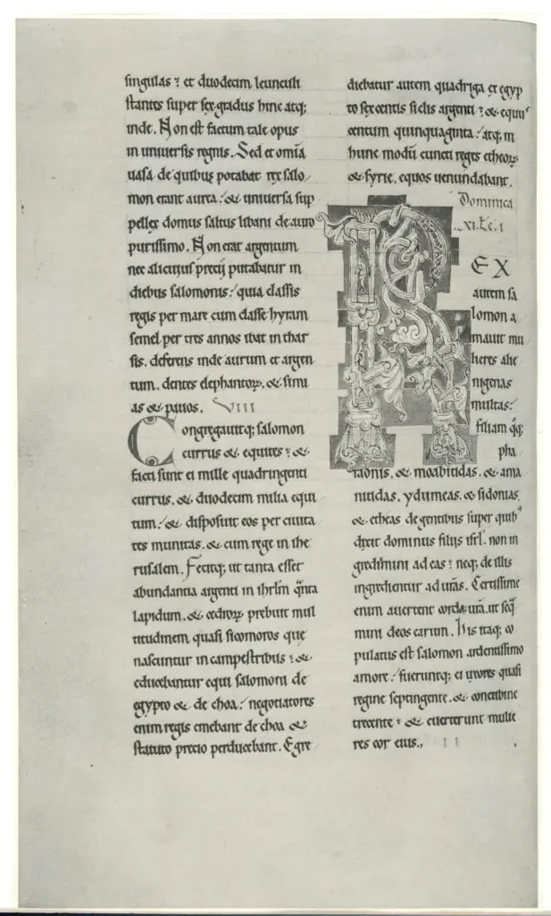 Anonimo sec. XII , Testo scritto, Iniziale R, Iniziale decorata, Motivi decorativi fitomorfi