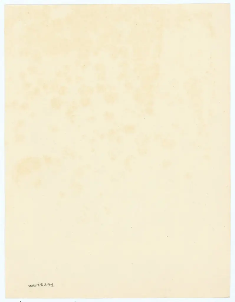 Anonimo , Anonimo bizantino - sec. VI - Firenze, Biblioteca Medicea Laurenziana, ms. Plut. I.56, f. 14r , retro