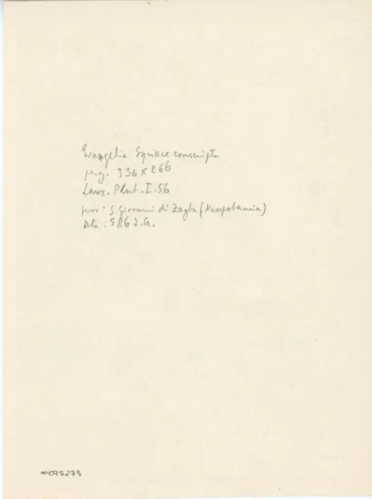 Anonimo , Anonimo bizantino - sec. VI - Firenze, Biblioteca Medicea Laurenziana, ms. Plut. I.56, f. 13r , retro