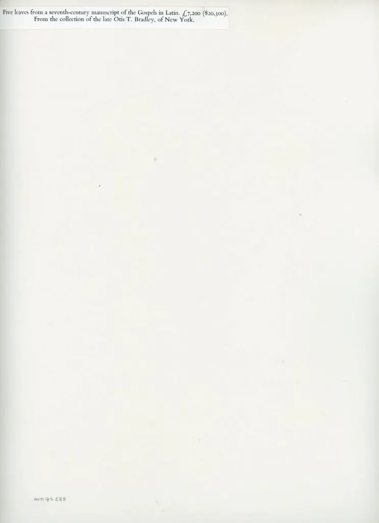 Anonimo , Anonimo - sec. VII - Foglio da un manoscritto dei Vangeli in latino , retro