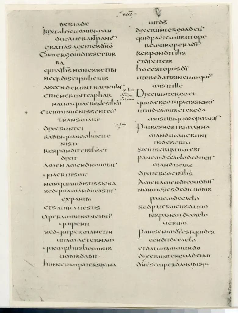 Anonimo , Paris, Bibl. Nationale - Evang&eacute;liaire de Chartres - IX , fronte