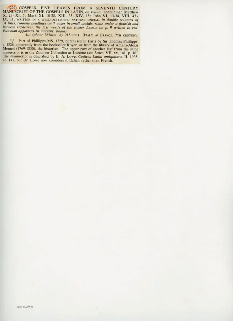 Anonimo , Paris, Bibl. Nationale - Evang&eacute;liaire de Chartres - IX , retro