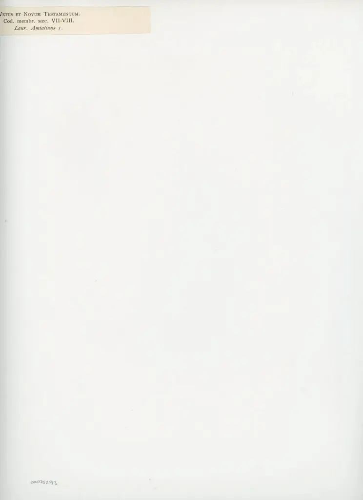 Anonimo , Vetus et Novum Testamentum./ Cod. membr. saec. VII.-VIII./ Laur. Amiatinus I. , retro