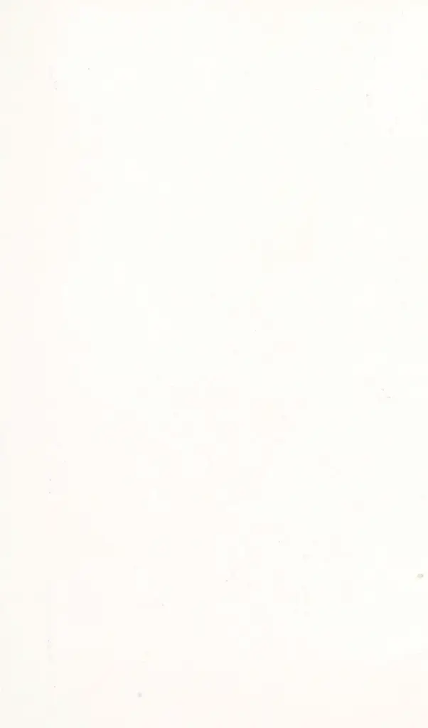 Anonimo , London British Museum - Sec. XIII - Inglese , retro