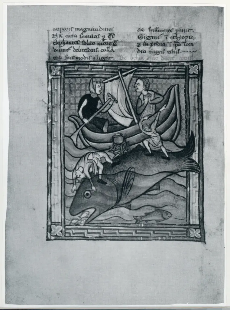 Anonimo , Anonimo - ca. 1290 - Los Angeles, J. Paul Getty Museum, Ms. Ludwig XV 3 (83.MR.173), Bestiario, f. 89v , fronte