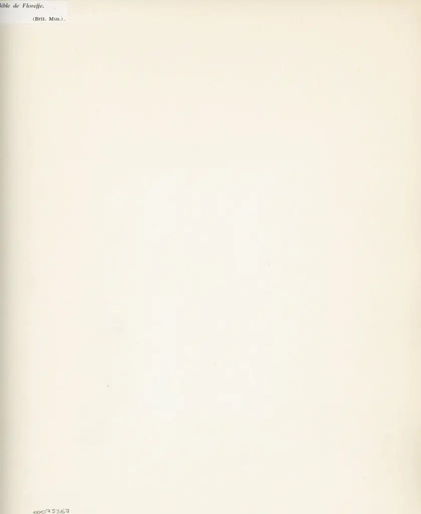 Anonimo , Bible de Floreffe. (Brit. Mus.) , retro