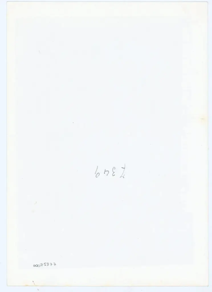 Anonimo , Anonimo - sec. XIV - Parigi, Biblioth&egrave;que nationale de France, ms. Italien 665, f. 33r , retro